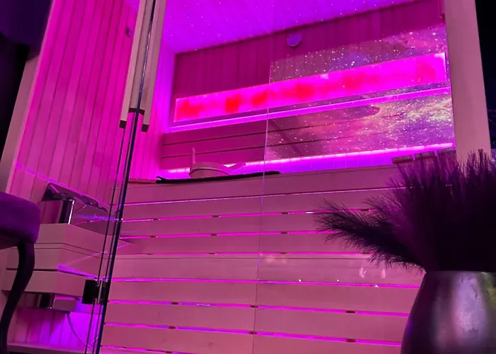 Flex Lux With Jacuzzi And Sauna Apartman Belgrade